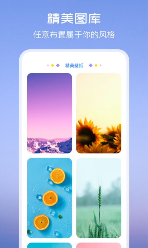 TopWidgets安卓版v3.0.1截图3