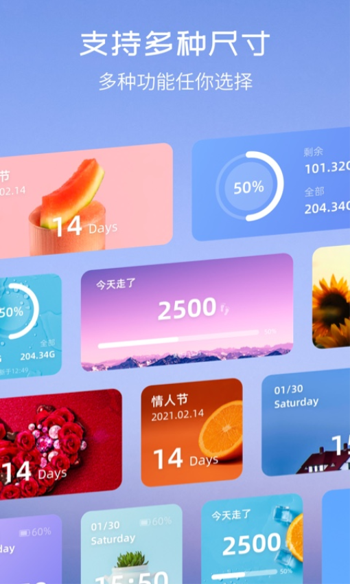 TopWidgets安卓版v3.0.1截图2