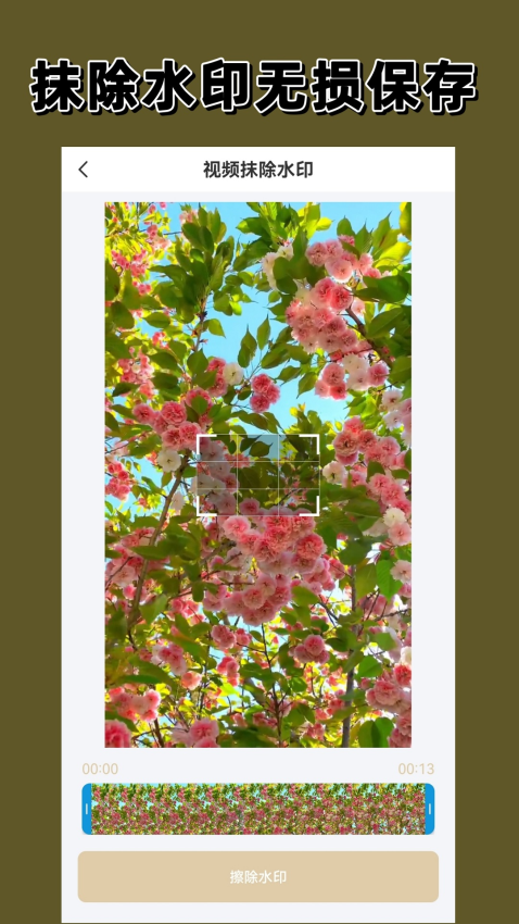 去水印大师appv2.9.0截图1