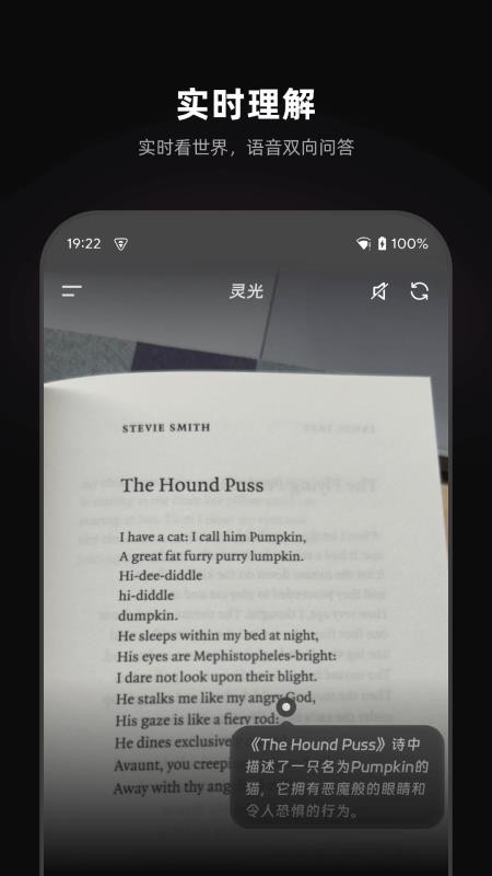 灵光最新版v1.0.37.8000截图5