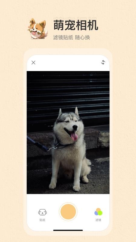 动物语言最新版v1.0.5截图3