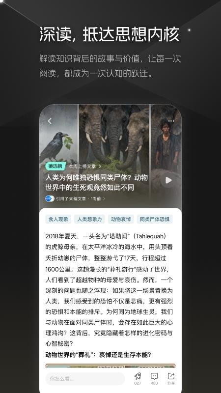 大圆镜最新版v1.1.17截图4