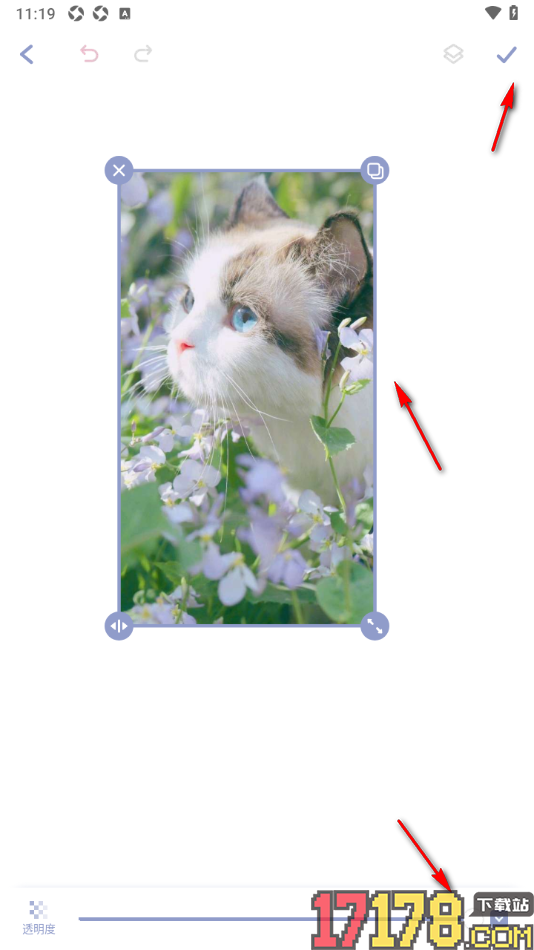 Toxx手机版制作手帐时从本地导入图片的方法