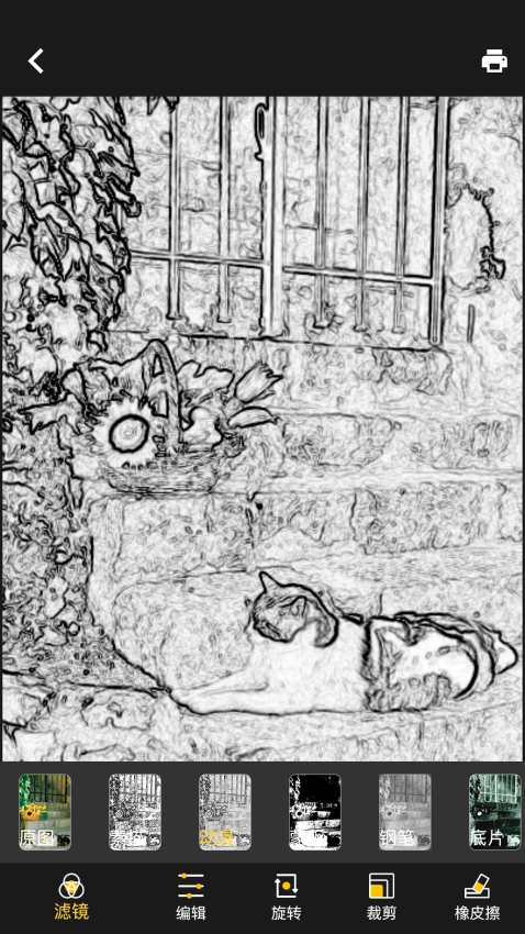 DiDi Cam官方版v1.2.0截图3