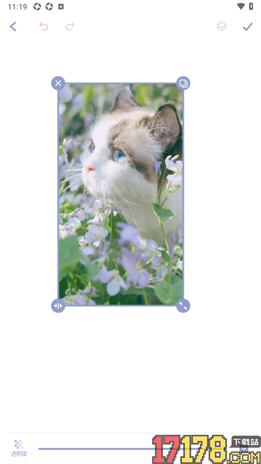 Toxx手机版制作手帐时从本地导入图片的方法