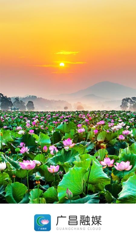 广昌融媒官网版v5.3.8截图1