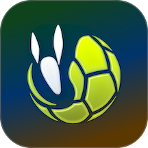 记足球手机版 v4.3.1