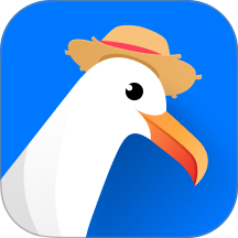 海鸥出海官网版 v1.1.7