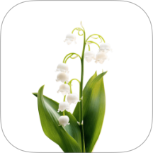 风信官网版 v1.5