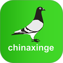 中信网信鸽信息网手机版 v20260910