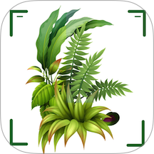 识万物扫一扫免费版 v1.2