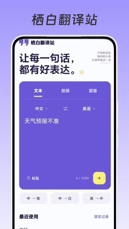栖白翻译站免费版