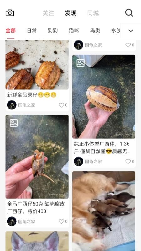 宠友圈软件v2.10.6截图1