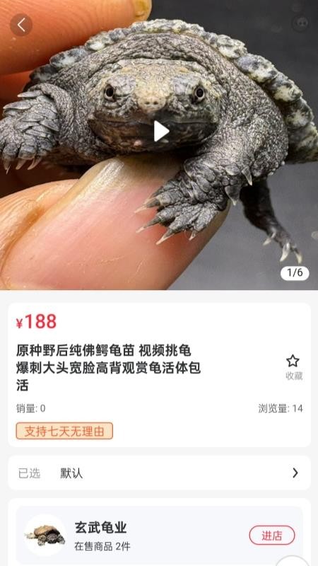 宠友圈软件v2.10.6截图3
