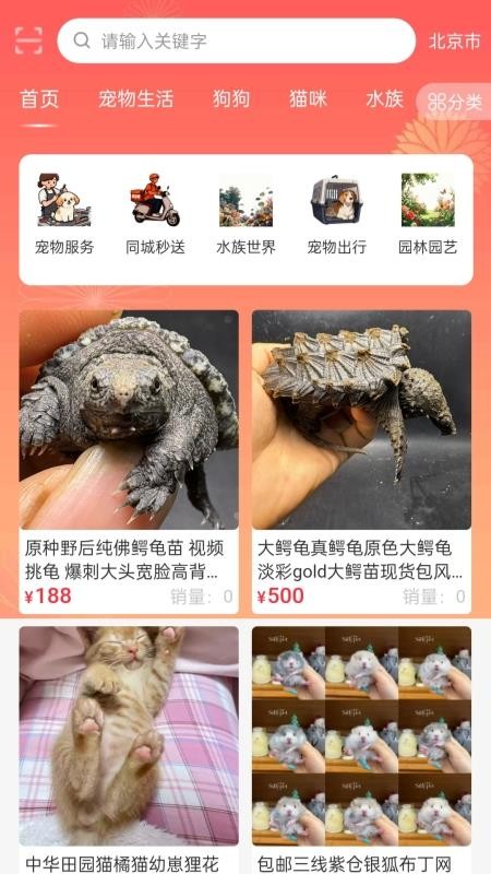 宠友圈软件v2.10.6截图2