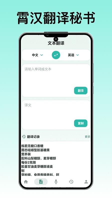 霄汉翻译秘书免费版v1.2截图2