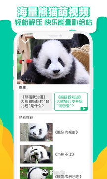 熊猫频道安卓客户端v2.1.9截图4