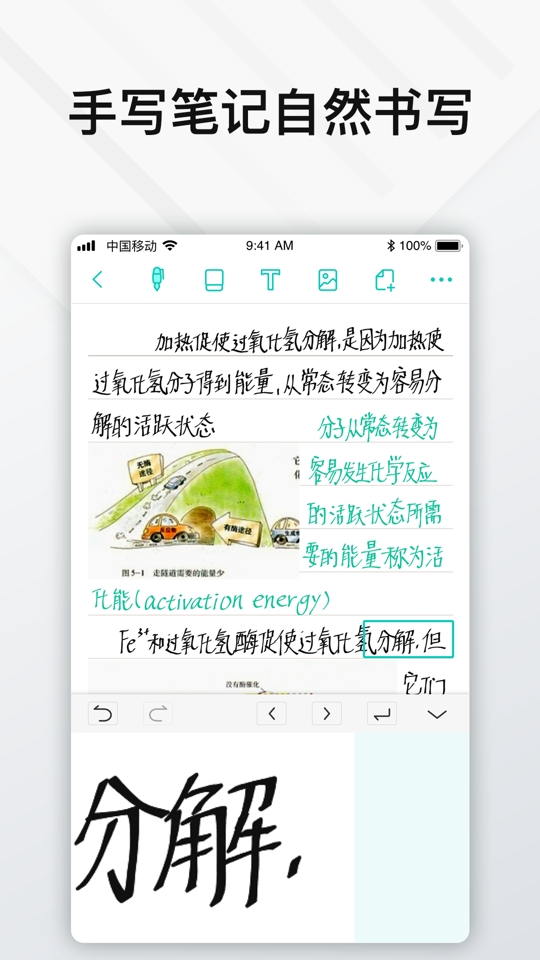 Elfinbook易飞app安卓版v4.5.1截图2
