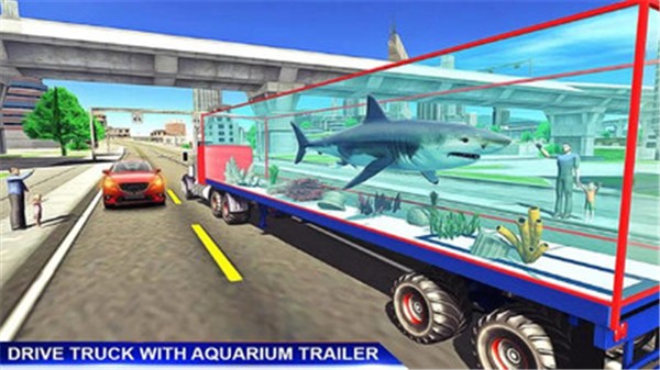 海洋动物运输车安卓版v7最新版截图3