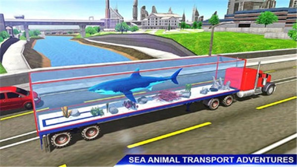 海洋动物运输车安卓版