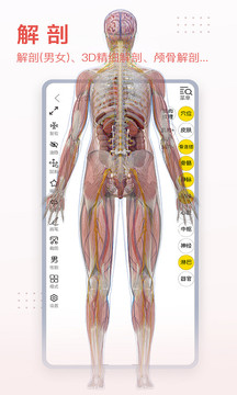 3Dbody解剖官方版v8.6.90截图2