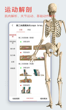 3Dbody解剖官方版v8.6.90截图5