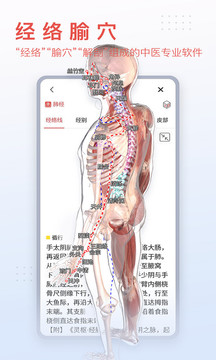 3Dbody解剖官方版v8.6.90截图4