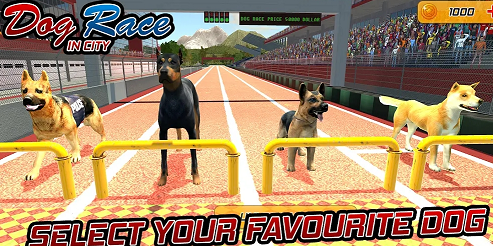 Dog Racing Game Pet Animal run Simulator官方版d5a27f62-3b9a-4a4f-a2de-f75a3f6ac30a(3)