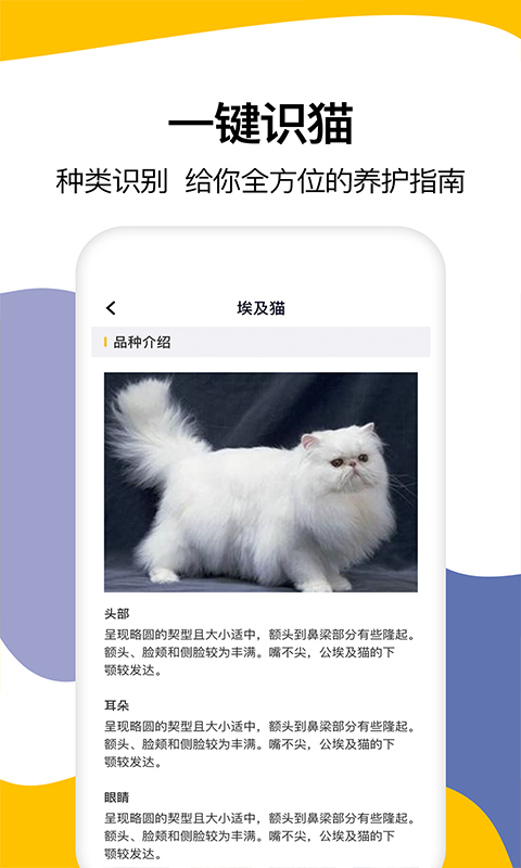 猫语翻译软件手机版0(3)(2)
