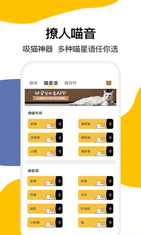 猫语翻译软件手机版v1.6安卓版截图3