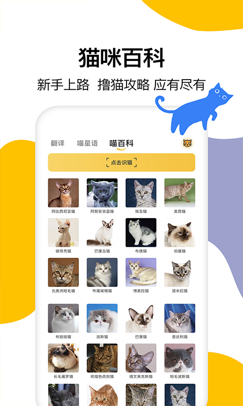 猫语翻译软件手机版v1.6安卓版截图5