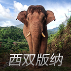 亚洲象预警官方版 v0.1.54安卓版