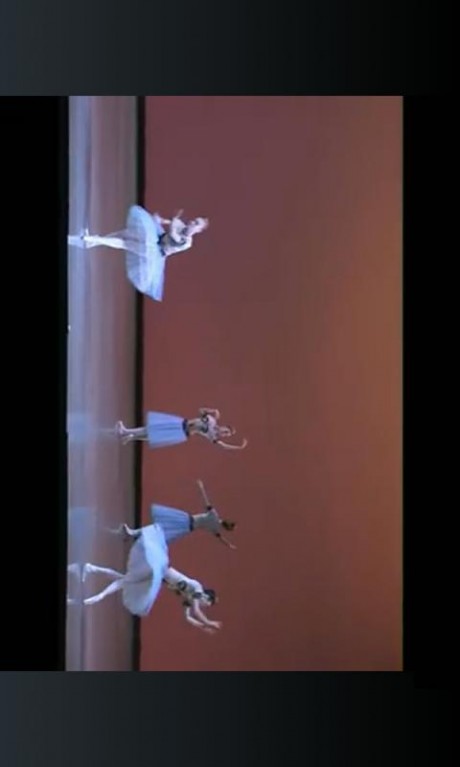芭蕾舞教学视频安卓版v1.3截图2