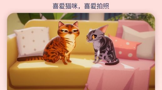 我的猫咪俱乐部中文版（My Cat Club）